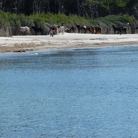 Affittacamere A Due Passi Dal Mare 切齐纳的码头 外观 照片