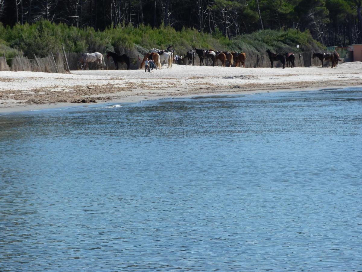 Affittacamere A Due Passi Dal Mare 切齐纳的码头 外观 照片